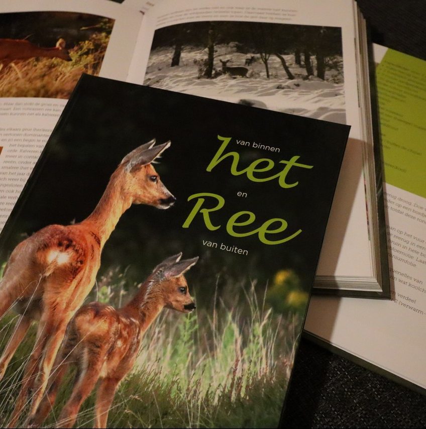 boek-hetree